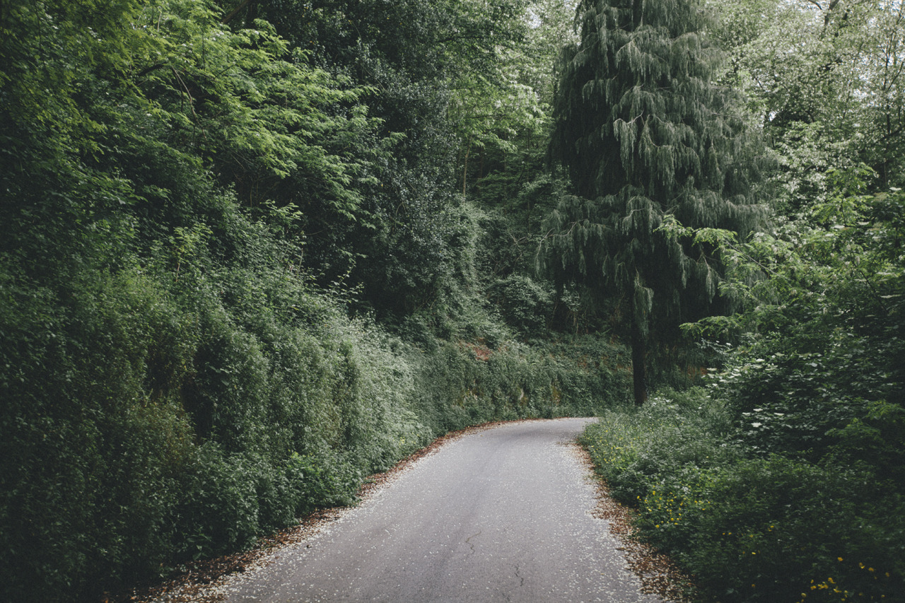 elenamorelli:  { the road to the nearest hill } 
