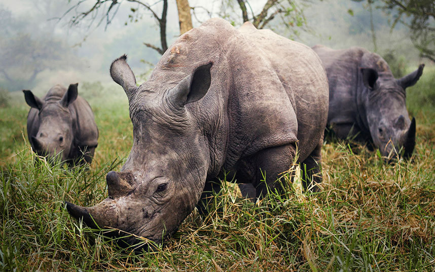 crossconnectmag:  The 10 winning photos from National Geographic Traveler Photo