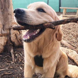 whitefireprincess:  Doug, Branch Manager