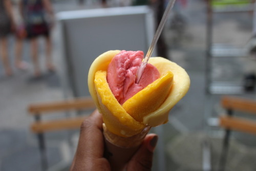 omgfreewifi: this was a delicious flower