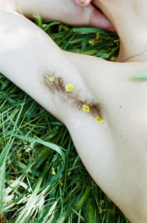 minhamemoriasuja:  “little daisies” photographed by Butu Bilikhodze  