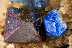 underthescopemin:  Magnetite, Haüyne Redddish coated magnetite crystal with haüyne in a vug of a sanidinite. Photo Copyright © Volker Betz