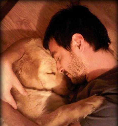 Men And Their Dogs