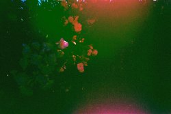 karlaramiro:  expired film and/or aliens