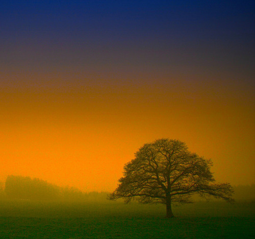 Niederhof - morning on Sunday by NPP-publik_oberberg-3mio views:-) on Flickr.