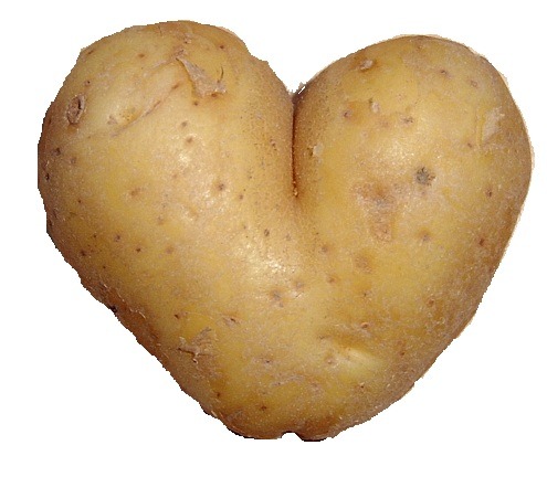 I fucking love potatos wait I just made a transparent potato heart actually i can’t tell if it looks more like a heart or a butt help