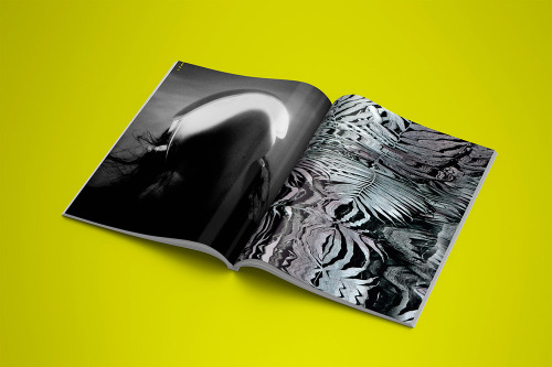 TROPICAL STOEMP /  PHOTOMAGAZINE MADE IN BELGIUMhttps://www.lemulet.com/edition/tropical-stoemp-02/&