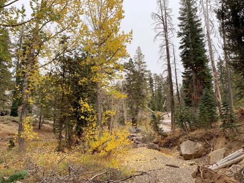 Autumn in the sierra nevadas is just spectacular. It happens much earlier than down in the foothills