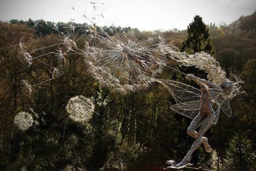 kaneki-kenkin: mymodernmet: UK-based artist Robin Wight uses stainless steel wire to form stunning
