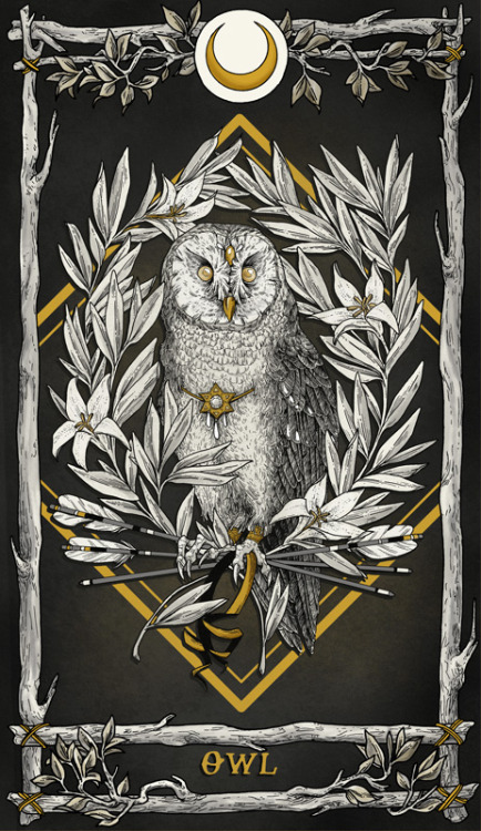 THE STARLESS SEA TAROT CARD COUNTDOWN: THE OWL AND THE STARS“The Starless Sea is rising.The owls wat