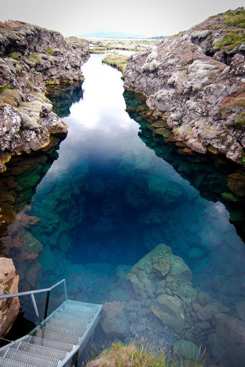naturexplorer:  Lets go swimming  
