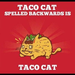 #tacocat