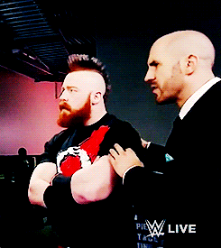 littledozerbaby:Cesaro trying to calm Sheamus down 😊