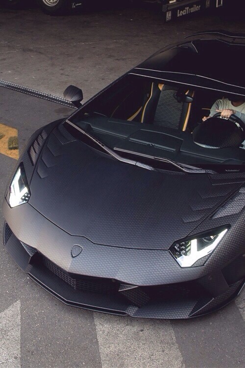 robert-dcosta:  Lambo 