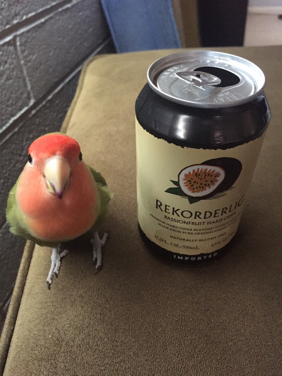 venturebirbs:  Atti is my best bud. &lt;3 PS no alcohol for him of course but
