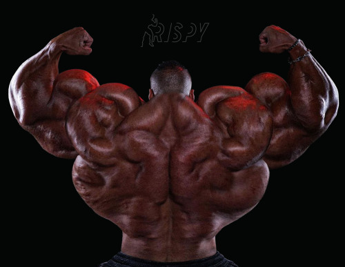 Big Galal