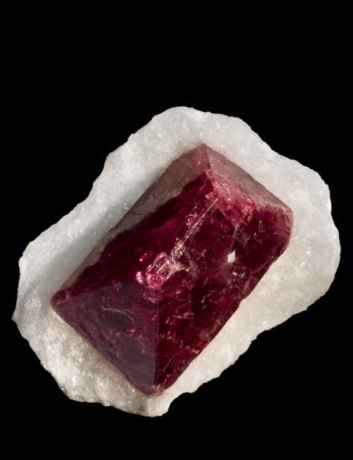 fuckyeahmineralogy:  Spinel on matrix; Luc Yen, Yenbai Prov., Vietnam