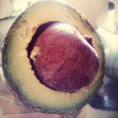 Mmm… Avocado… – View on Path. porn pictures