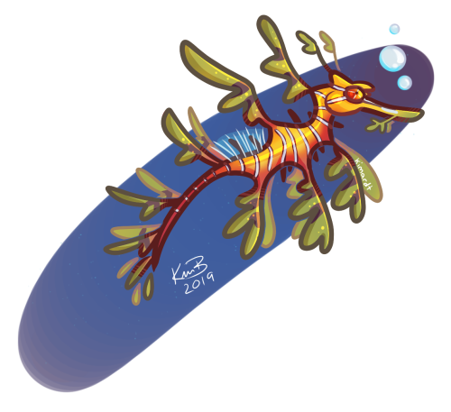 ivy the leafy sea dragonInstagram I Facebook I Deviantart l TwitterCommissions are open!