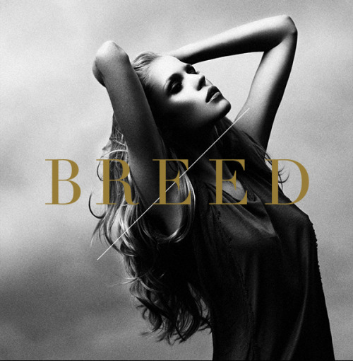 We just launched our brand new fashion photography workshop site Join The Breed! This fall we are ho