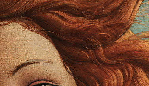 thismorningscoffee:  details of Nascita di Venere (1486)by Sandro Botticelli 