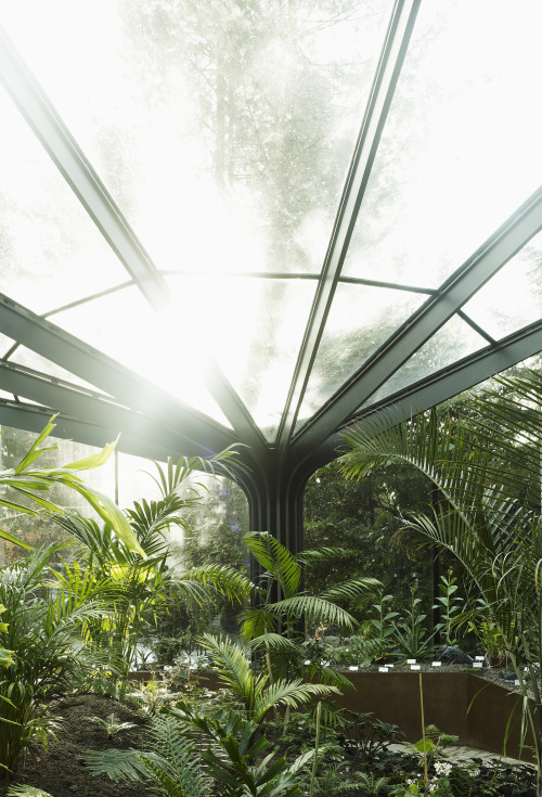 88floors:  Greenhouse Botanical Garden Grueningen by idA 