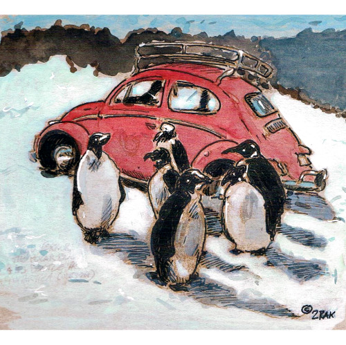 the red terror, a vw bug in antarctica in 63