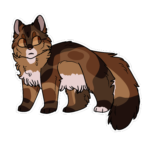 dragofelid