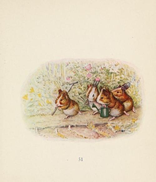 naturepoetry:From Cecily Parsley’s Nursery Rhymes by Beatrix Potter