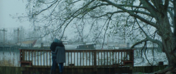 dawnrunsfast:  If I Stay (2014) 