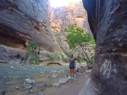 Zion National Park Part II Yesterday we woke up early and hiked The Narrows. Which was probably the 