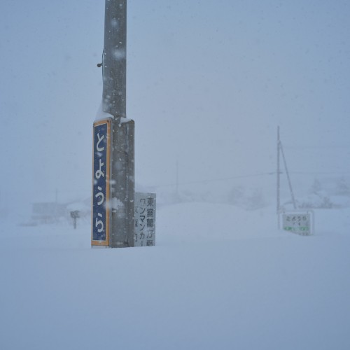 北海道民が白魔に負けた日