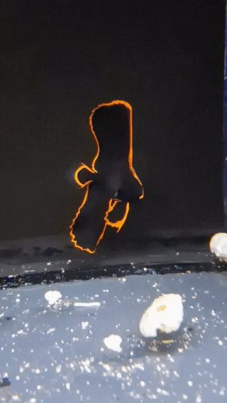 sixpenceee:  A gorgeous juvenile batfish!