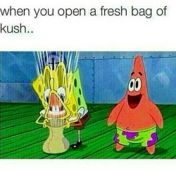 trendingcurrentevents:  #kush #loud #gas #420 #stoner #stoners #blaze #blazed #faded #wakeandbake #high #smoke #ganja #stoned #marijuana #pot #lol #lmao #lmfao #haha #funny #joke #humor #laugh #hilarious #meme #memes #funnypics #funnypictures #hahaha