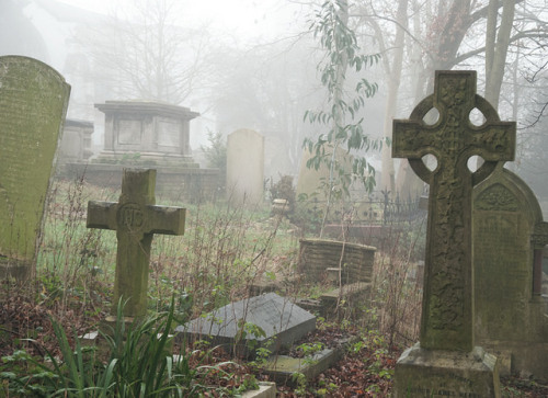 Foggy churchyard, Hendon, London NW4, 21st January 2014 by joelmeadows1 on Flickr.