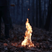 thewitches-lovenest:
