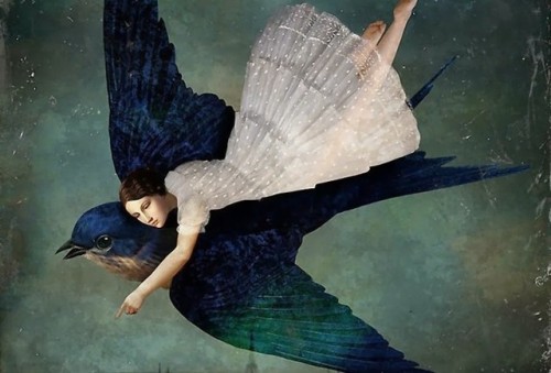 (Daria Petrilli),