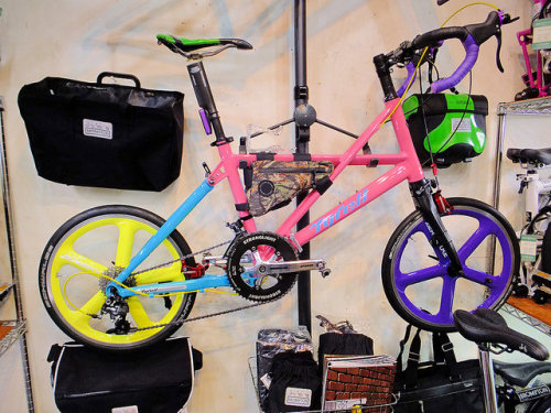 kinkicycle: Custom Tyrell @ Loro World Recumbents, Kyoto, Japan. on Flickr.