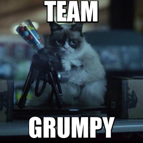 The Official Grumpy Cat's Tumblr