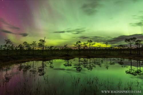 sci-universe: The magical bogs of Estonia Image credit from the top (please don’t remove): 1. Urmas 