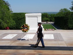 virtualhurtuall:  cars-food-life:  On Jeopardy the other night, the final question was “How many steps does the guard take during his walk across the Tomb of the Unknowns?”  All three got it wrong.  This is really an awesome sight to watch if you’ve