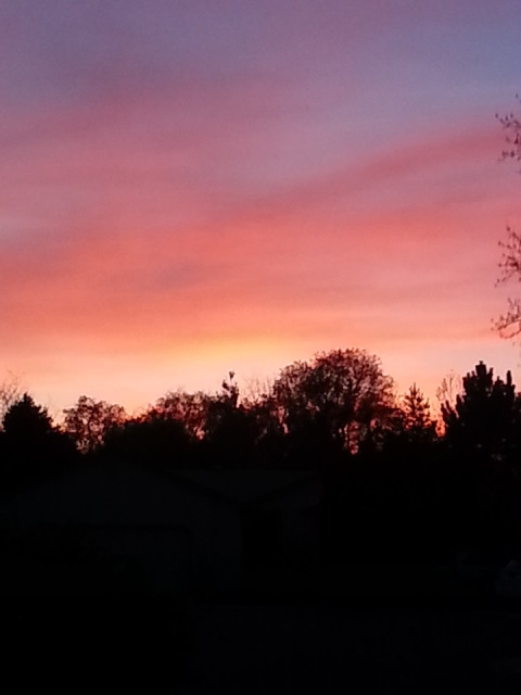 willowraith:you stretch beyond today. you will continue on; today will not. you will