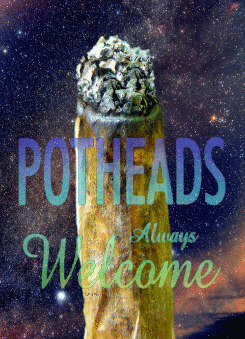 Stay Lifted!