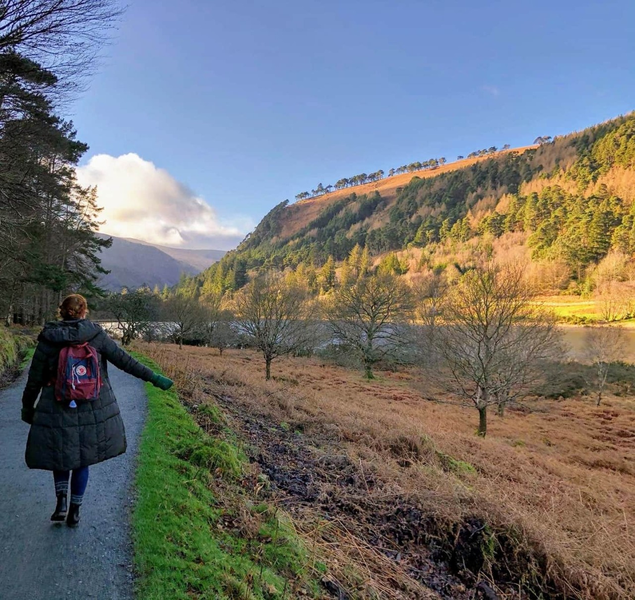 vampireapologist-archive-deacti:Glendalough, Co. WicklowI saw like, so much cool moss today