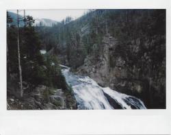 allthetreesofthefield:  melanieonfilm:Breathtaking views in Yellowstone National Park. Fujifilm Instax 210  Hey hey heyyy.  I need to go back to Yellowstone.