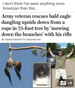 trebled-negrita-princess:  tastefullyoffensive:  (via lauren_camille / daily mail)   if this is what “American” means, I’d rather not be one.