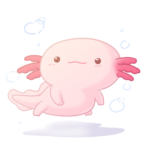 Nalinrut S Drawing Stash I Always Want An Axolotl But Taking Care Of Them