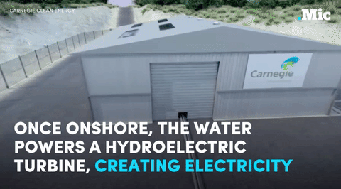 the-future-now:  This company is harnessing the power of the ocean (x) | follow @the-future-now