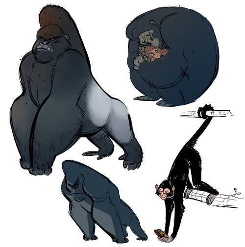 juluia:  more drawings for my character design class! This time I wanted to draw monkeys. we also ha