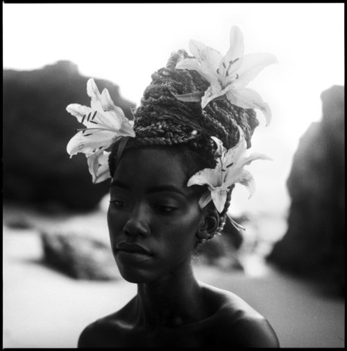 yama-bato: Beauty by Javiera Estrada (2017) : Photography Analogue on Paper - Singulart  